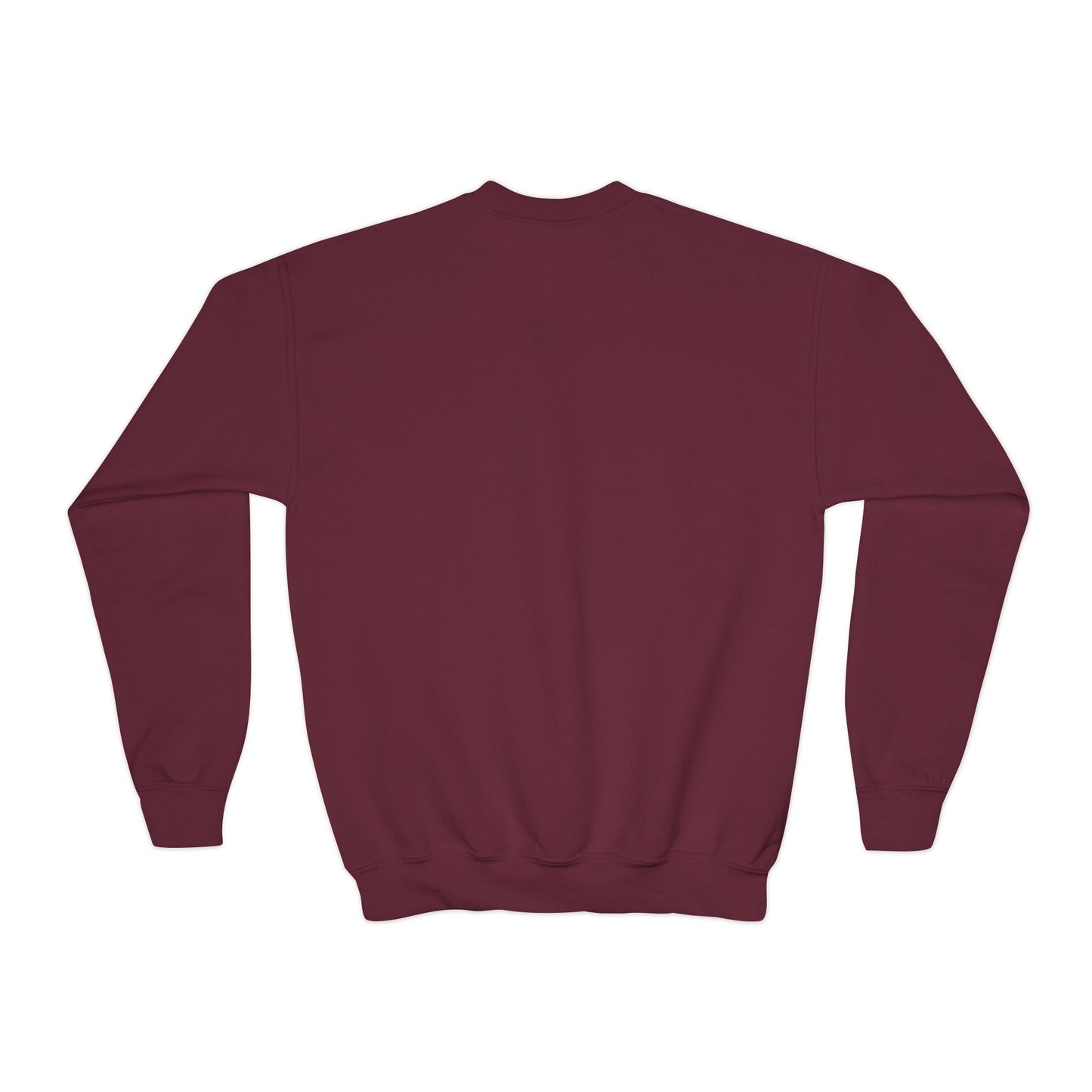 The Proverbs 31 Youth Sweatshirt