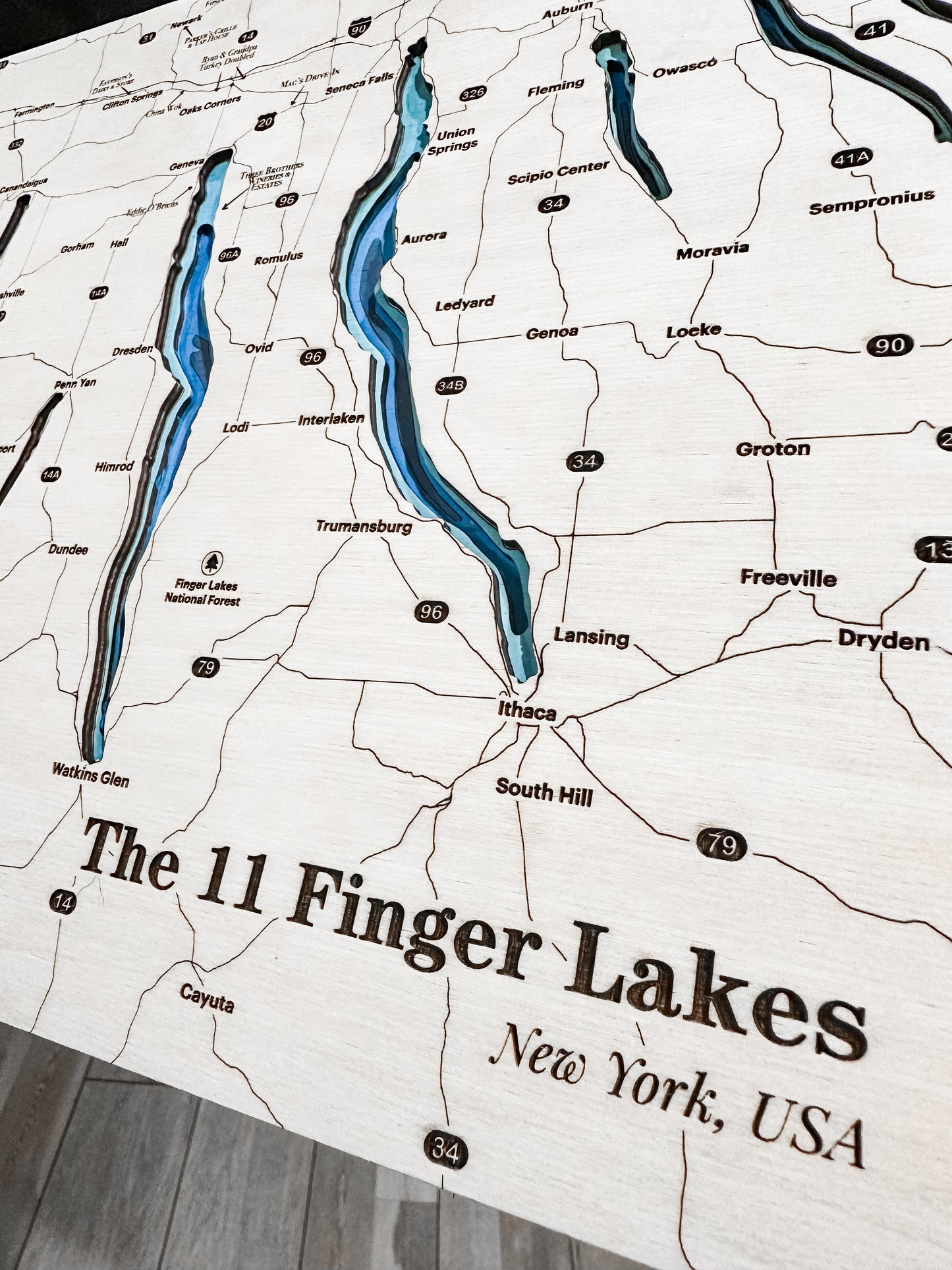 Finger Lakes Topographic Map