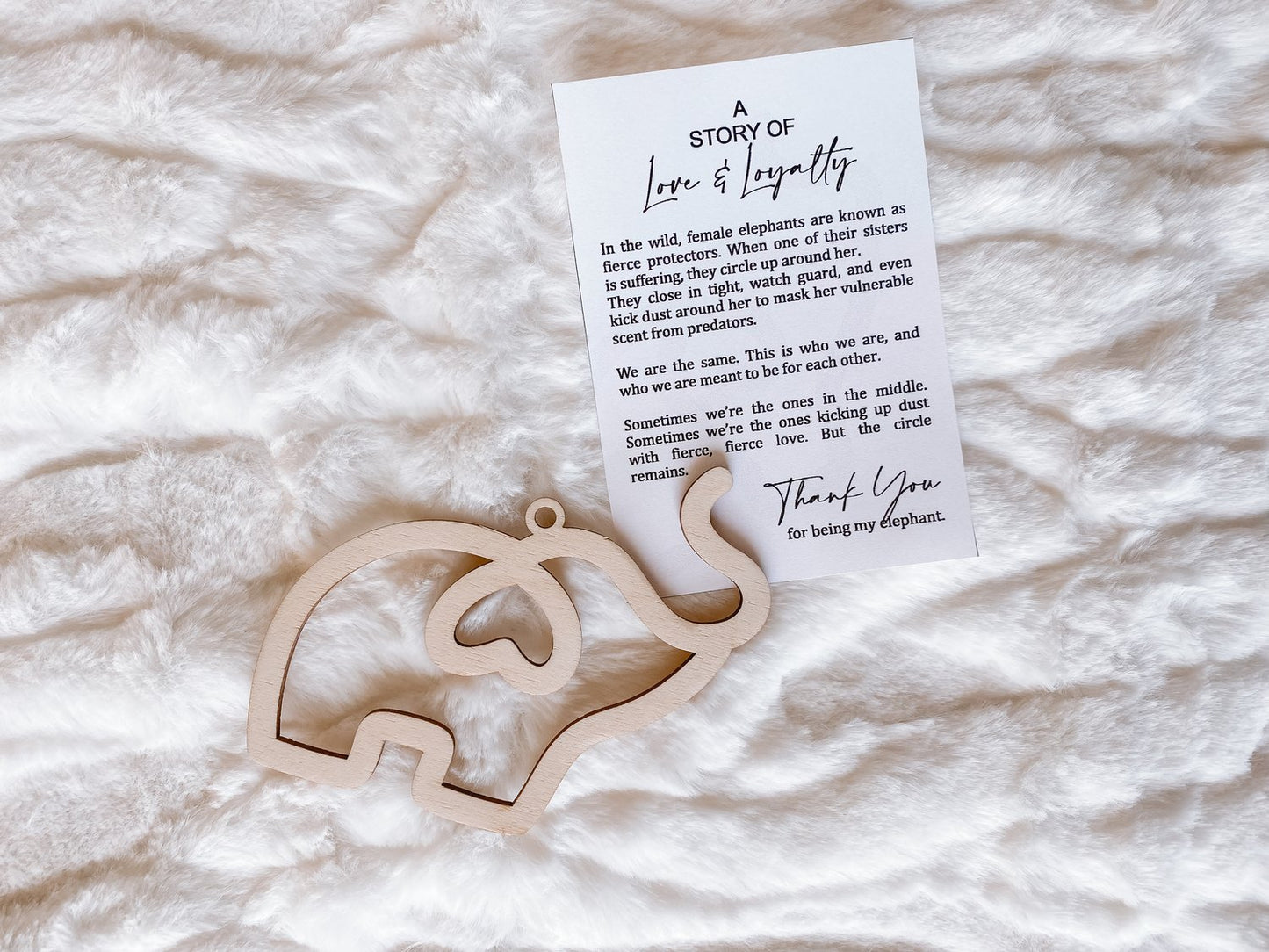 The Circle of Love Bundle