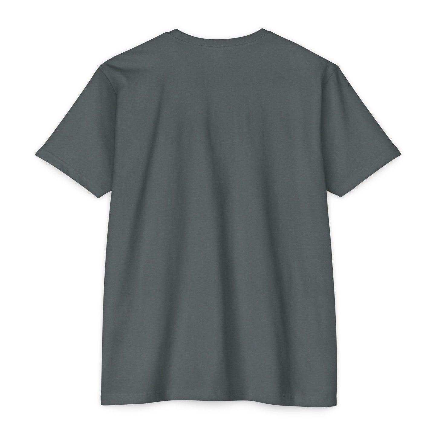 The True American Patriot T-Shirt
